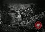 Standbild Blumen und Garten anzeigen Seattle Washington USA, 1941, aus Sekunde 23 historischem Filmmaterial Videoclip 65675032026