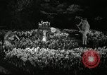 Standbild Blumen und Garten anzeigen Seattle Washington USA, 1941, aus Sekunde 27 historischem Filmmaterial Videoclip 65675032026