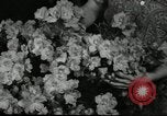 Standbild Blumen und Garten anzeigen Seattle Washington USA, 1941, aus Sekunde 44 historischem Filmmaterial Videoclip 65675032026