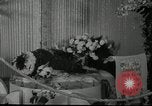 Standbild Blumen und Garten anzeigen Seattle Washington USA, 1941, aus Sekunde 47 historischem Filmmaterial Videoclip 65675032026