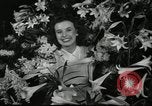 Standbild Blumen und Garten anzeigen Seattle Washington USA, 1941, aus Sekunde 55 historischem Filmmaterial Videoclip 65675032026