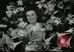 Standbild Blumen und Garten anzeigen Seattle Washington USA, 1941, aus Sekunde 56 historischem Filmmaterial Videoclip 65675032026
