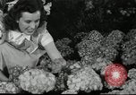 Standbild Blumen und Garten anzeigen Seattle Washington USA, 1941, aus Sekunde 62 historischem Filmmaterial Videoclip 65675032026