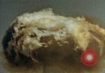 Immagine di Test atomico Albuquerque New Mexico USA, 1958, secondo 13 filmato di repertorio 65675032030
