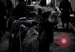 Image of Flying buttresses Jerusalem Palestine, 1932, second 49 stock footage video 65675032035