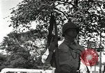 Image Au cours de l'émeute de Detroit Race Seconde Guerre Mondiale Detroit Michigan USA, 1943, de la seconde 33 séquences d'archives historiques vidéo 65675032040