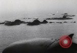 Immagine di Il tedesco campagna di bombardamenti contro l'Inghilterra Inghilterra, 1941, secondo 6 filmato di repertorio 65675032048