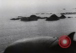 Immagine di Il tedesco campagna di bombardamenti contro l'Inghilterra Inghilterra, 1941, secondo 7 filmato di repertorio 65675032048