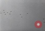 Immagine di Il tedesco campagna di bombardamenti contro l'Inghilterra Inghilterra, 1941, secondo 39 filmato di repertorio 65675032048