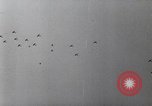Immagine di Il tedesco campagna di bombardamenti contro l'Inghilterra Inghilterra, 1941, secondo 40 filmato di repertorio 65675032048
