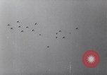 Immagine di Il tedesco campagna di bombardamenti contro l'Inghilterra Inghilterra, 1941, secondo 41 filmato di repertorio 65675032048