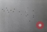 Immagine di Il tedesco campagna di bombardamenti contro l'Inghilterra Inghilterra, 1941, secondo 43 filmato di repertorio 65675032048