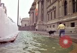 Immagine di Persone ed edifici New York City USA, 1976, secondo 12 filmato di repertorio 65675032060