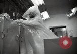 Image of Man handles radioactive materials Richland Washington USA, 1947, second 23 stock footage video 65675032069