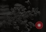 Image of U.S.Supreme Court  Washington DC USA, 1948, second 43 stock footage video 65675032071