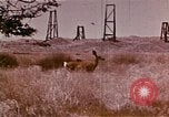 Image of Hanford Project Richland Washington USA, 1966, second 12 stock footage video 65675032081