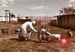 Image of Hanford Project Richland Washington USA, 1966, second 16 stock footage video 65675032081