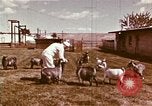 Image of Hanford Project Richland Washington USA, 1966, second 17 stock footage video 65675032081