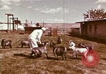 Image of Hanford Project Richland Washington USA, 1966, second 18 stock footage video 65675032081