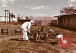 Image of Hanford Project Richland Washington USA, 1966, second 19 stock footage video 65675032081