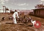 Image of Hanford Project Richland Washington USA, 1966, second 20 stock footage video 65675032081