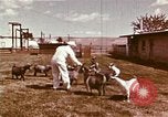 Image of Hanford Project Richland Washington USA, 1966, second 21 stock footage video 65675032081