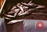 Image of Hanford Project Richland Washington USA, 1966, second 33 stock footage video 65675032081