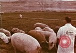 Image of Hanford Project Richland Washington USA, 1966, second 3 stock footage video 65675032082