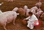 Image of Hanford Project Richland Washington USA, 1966, second 4 stock footage video 65675032082