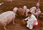Image of Hanford Project Richland Washington USA, 1966, second 5 stock footage video 65675032082