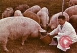 Image of Hanford Project Richland Washington USA, 1966, second 25 stock footage video 65675032082