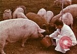 Image of Hanford Project Richland Washington USA, 1966, second 30 stock footage video 65675032082