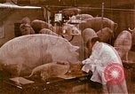 Image of Hanford Project Richland Washington USA, 1966, second 1 stock footage video 65675032083