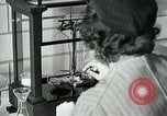 Image of women workers United States USA, 1942, second 28 stock footage video 65675032088