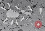 Image of Polish Campaign Poland, 1939, second 7 stock footage video 65675032089