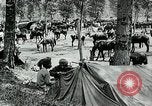 Standbild Schlacht von Arras Picardie Frankreich, 1918, aus Sekunde 19 historischem Filmmaterial Videoclip 65675032105