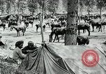 Standbild Schlacht von Arras Picardie Frankreich, 1918, aus Sekunde 21 historischem Filmmaterial Videoclip 65675032105