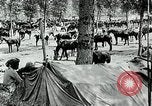 Standbild Schlacht von Arras Picardie Frankreich, 1918, aus Sekunde 23 historischem Filmmaterial Videoclip 65675032105