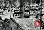 Standbild Schlacht von Arras Picardie Frankreich, 1918, aus Sekunde 24 historischem Filmmaterial Videoclip 65675032105