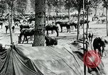 Standbild Schlacht von Arras Picardie Frankreich, 1918, aus Sekunde 26 historischem Filmmaterial Videoclip 65675032105