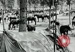 Standbild Schlacht von Arras Picardie Frankreich, 1918, aus Sekunde 27 historischem Filmmaterial Videoclip 65675032105