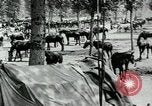 Standbild Schlacht von Arras Picardie Frankreich, 1918, aus Sekunde 28 historischem Filmmaterial Videoclip 65675032105