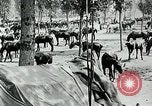 Standbild Schlacht von Arras Picardie Frankreich, 1918, aus Sekunde 29 historischem Filmmaterial Videoclip 65675032105