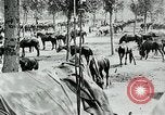 Standbild Schlacht von Arras Picardie Frankreich, 1918, aus Sekunde 31 historischem Filmmaterial Videoclip 65675032105