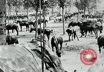 Standbild Schlacht von Arras Picardie Frankreich, 1918, aus Sekunde 32 historischem Filmmaterial Videoclip 65675032105