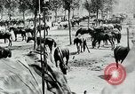Standbild Schlacht von Arras Picardie Frankreich, 1918, aus Sekunde 33 historischem Filmmaterial Videoclip 65675032105