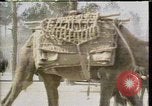 Standbild Sowjetunion Truppen in Afghanistan Moskau Russland Sowjetunion, 1988, aus Sekunde 12 historischem Filmmaterial Videoclip 65675032114