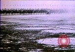Image of World War I begins Europe, 1914, second 44 stock footage video 65675032129