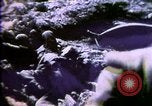 Image of World War 1 trench warfare. Rail Guns. Heavy artillery.  Europe, 1916, second 24 stock footage video 65675032131