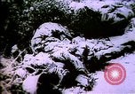 Image of World War 1 trench warfare. Rail Guns. Heavy artillery.  Europe, 1916, second 44 stock footage video 65675032131